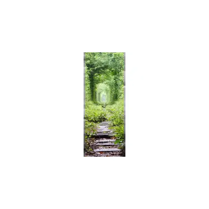 Fotomural Sendero Bosque FPR034, 100cm. x 270cm., Vinilo Autoadhesivo Mate, Todo Color, Original, 28.35x0x46.96×0 cm.