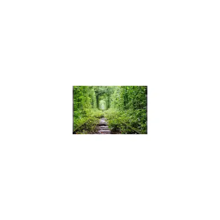 Fotomural Sendero Bosque FPR034, 120cm. x 67cm., Vinilo Autoadhesivo Mate, Todo Color, Original, 0x0x0x0 cm.