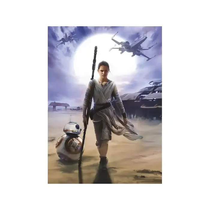Fotomural STAR WARS REY 4-448