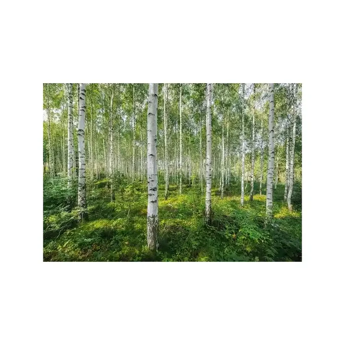Fotomural SUNNY DAY