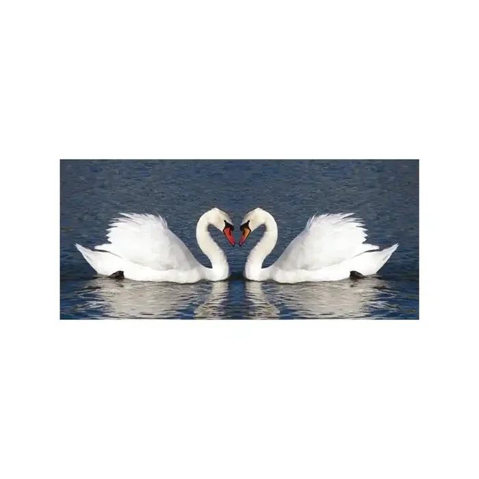Fotomural SWANS
