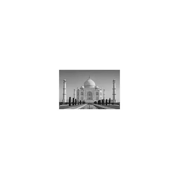 Fotomural Taj Mahal FLF002, 195cm. x 130cm., Vinilo Autoadhesivo Mate, Blanco y Negro, Original, 0x0x0x0 cm.