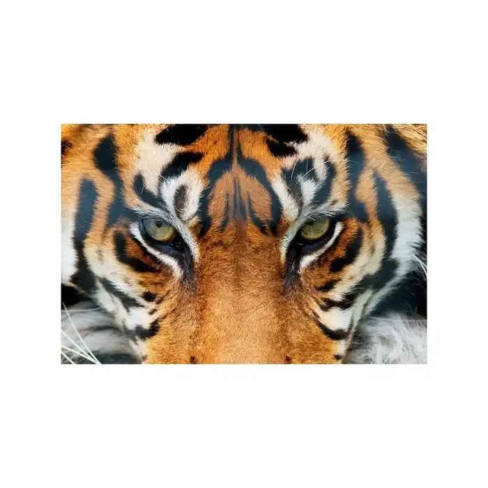 Fotomural TIGER 608