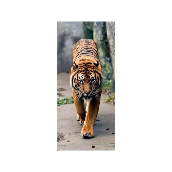 Fotomural TIGER FT-0001