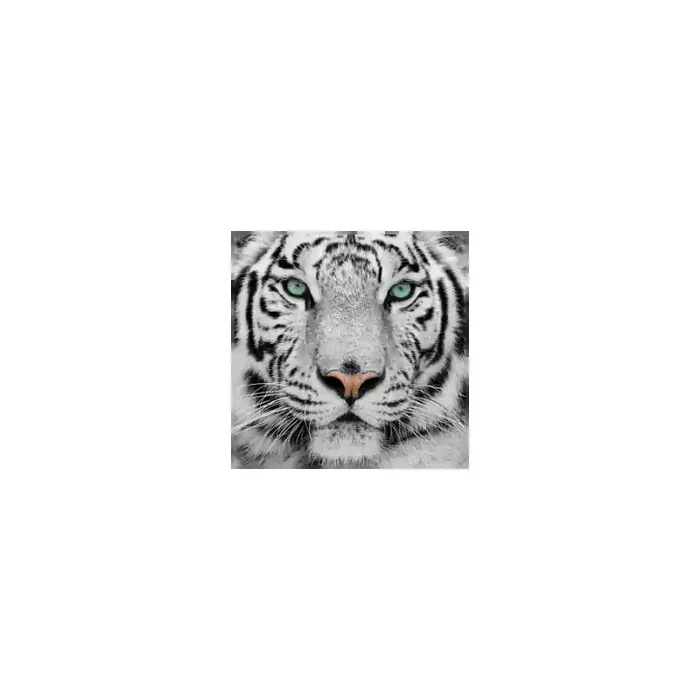 Fotomural Tigre FAN001, 140cm. x 120cm., Vinilo Autoadhesivo Mate, Todo Color, Original, 0x0x0x0 cm.