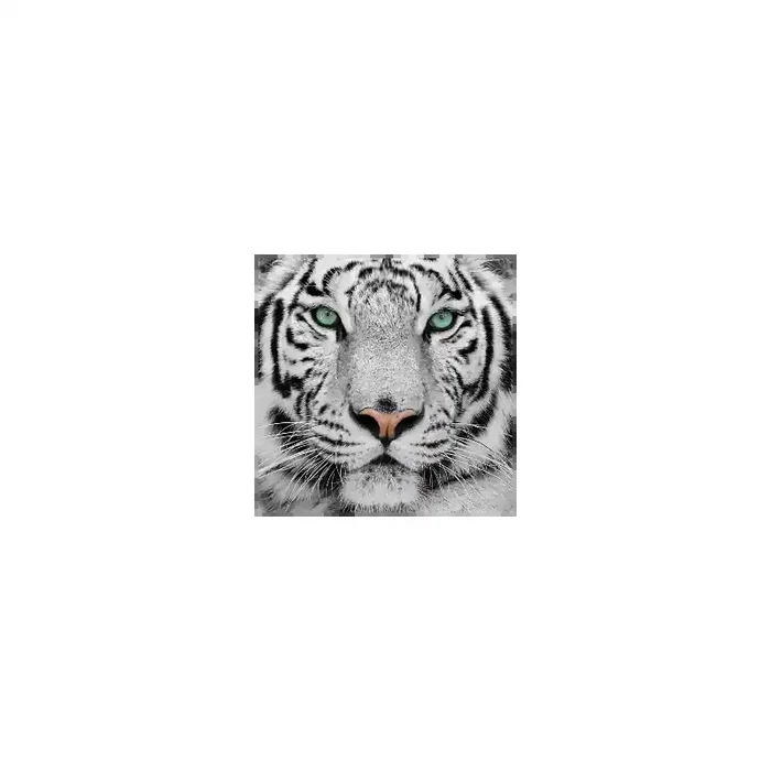 Fotomural Tigre FAN001, 150cm. x 150cm., Vinilo Autoadhesivo Mate, Todo Color, Original, 0x0x0x0 cm.