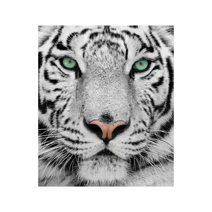 Fotomural Tigre FAN001, 200cm. x 235cm., Vinilo Autoadhesivo Mate, Todo Color, Original, 14.89x0x14.89×0 cm.