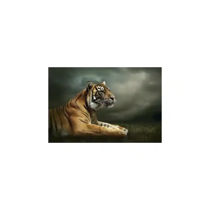 Fotomural Tigre FAN037, 100cm. x 67cm., Vinilo Autoadhesivo Mate, Todo Color, Original, 0x0x0x0 cm.