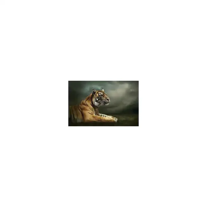 Fotomural Tigre FAN037, 100cm. x 67cm., Vinilo Autoadhesivo Mate, Todo Color, Original, 0x0x0x0 cm.