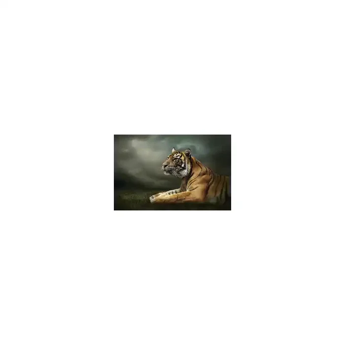 Fotomural Tigre FAN037, 195cm. x 130cm., Vinilo Autoadhesivo Mate, Todo Color, Invertir, 0x0x0x0 cm.