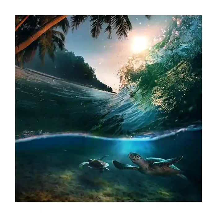 Fotomural Tortuga FAN031, 100cm. x 100cm., Vinilo Autoadhesivo Mate, Todo Color, Original, 0x0x0x0 cm.