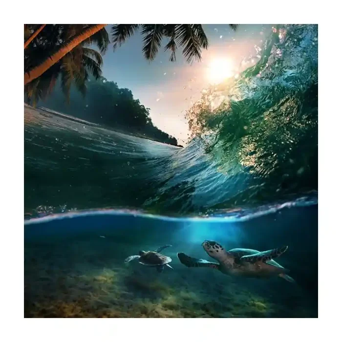 Fotomural Tortuga FAN031, 180cm. x 180cm., Vinilo Autoadhesivo Mate, Todo Color, Original, 0x0x0x0 cm.