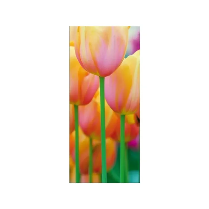 Fotomural TULIPPANS FT-0002