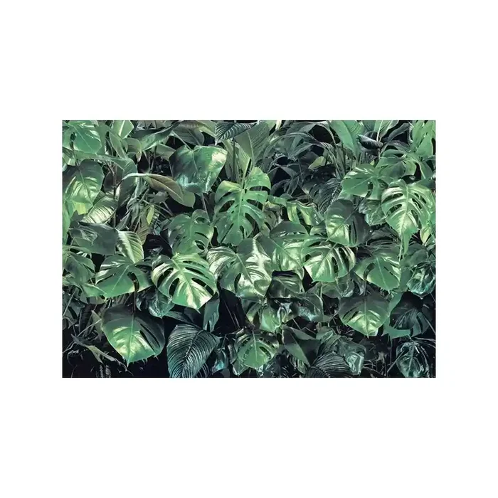 Fotomural VERDURE