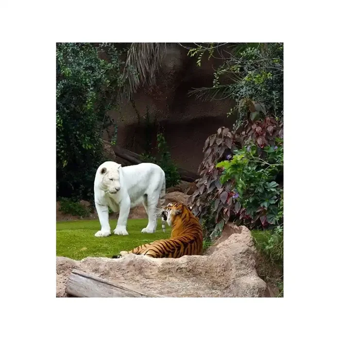 Fotomural WHITE TIGER FTL-1625