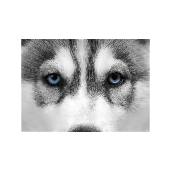 Fotomural WOLF