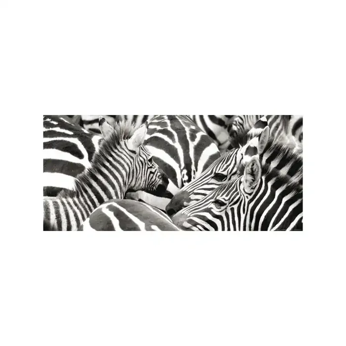 Fotomural ZEBRA