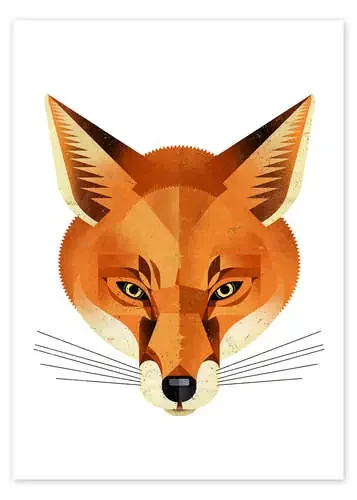 Fox de Dieter Braun