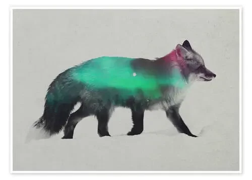 Fox In The Aurora Borealis de Andreas Lie