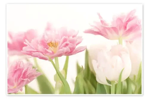 Fragrant de Friedhelm Peters