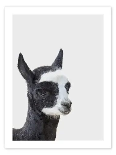 Friendly Alpaca de Animal Kids Collection Editors Choice
