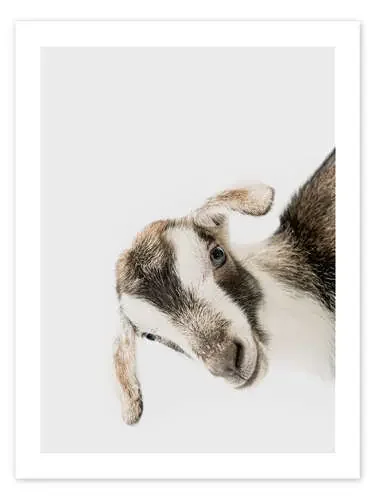Friendly Goat de Animal Kids Collection Editors Choice