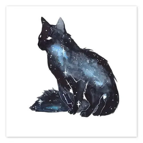 Galaxy Cat de Déborah Maradan