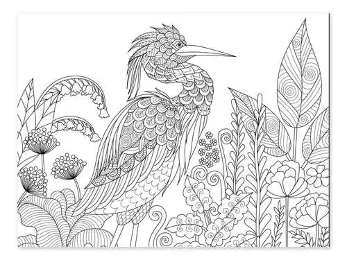 Garza entre flores Editors Choice
