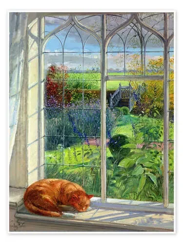 Gato en la ventana, verano de Timothy Easton Bridgeman Images