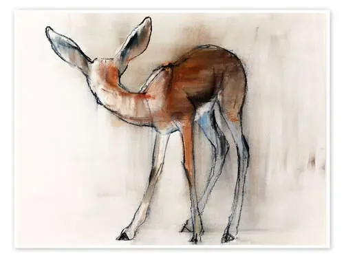 Gazelle Fawn de Mark Adlington Bridgeman Images