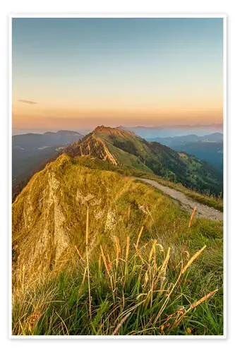 Gelchenwanger Head de Andreas Kossmann