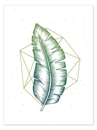 Geometría y naturaleza V de Barlena