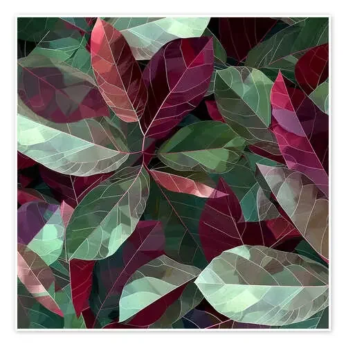 Geometric Ficus de Maria Tuzhilkina