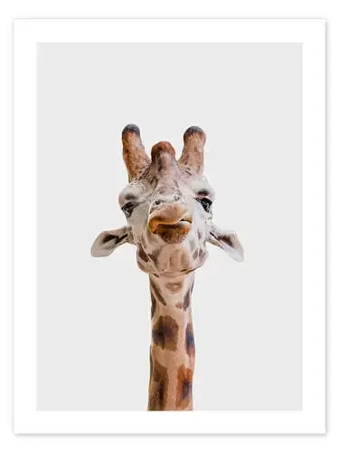 Giraffe Kiss de Animal Kids Collection Editors Choice