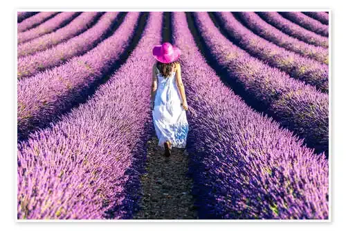 Girl in a lavender field de Matteo Colombo