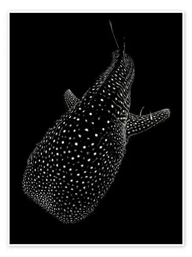 Glowing Whale Shark de Serge Melesan 1x