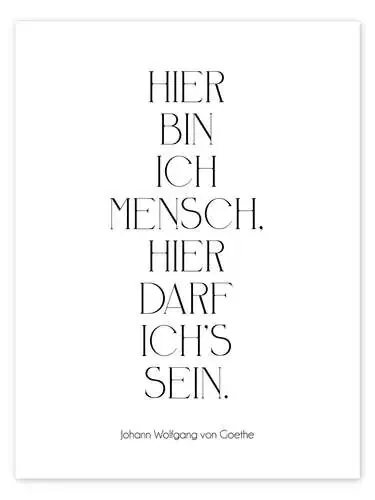 Goethe Zitat – Hier bin ich Mensch de Typobox Editors Choice