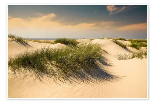 Golden dunes seascape de Reiner Würz