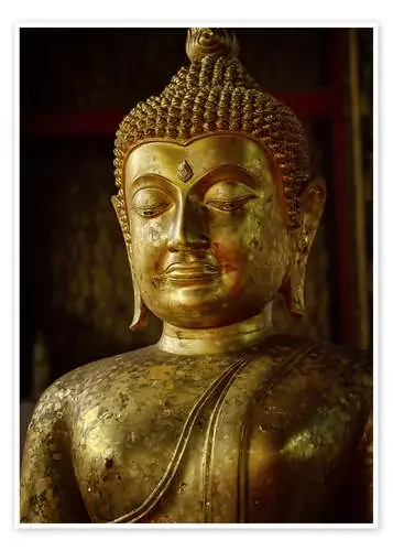 Golden gaze Editors Choice