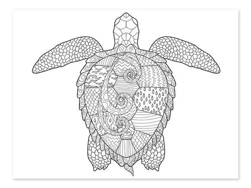 Gran tortuga marina Editors Choice