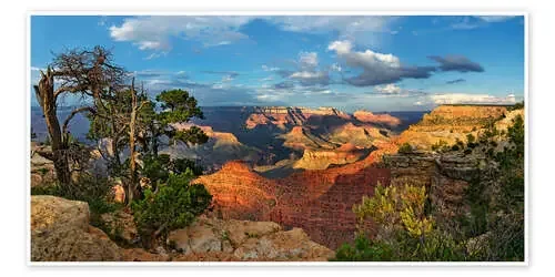 Grand Canyon with knotty pine de Michael Rucker