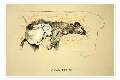 Gravitation de Cecil Charles Windsor Aldin Bridgeman Images