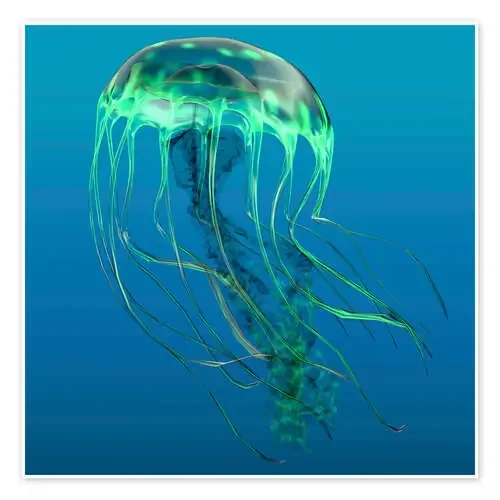 Green jellyfish illustration. de Corey Ford Stocktrek Images