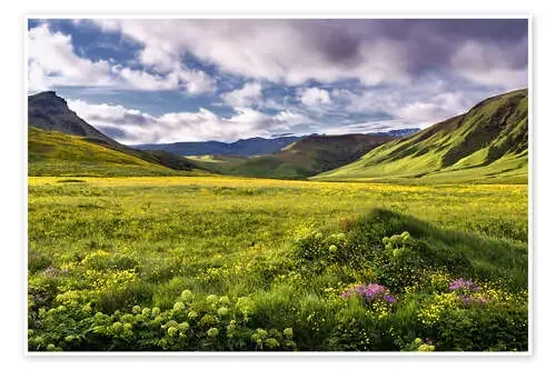 Green landscape on Iceland de Dennis Fischer