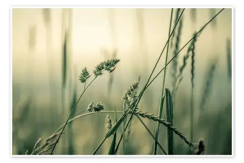 Green moment de Sören Bartosch