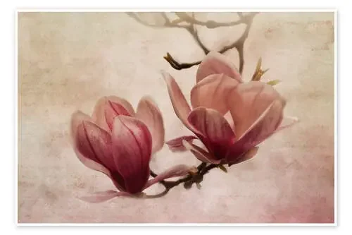 greetings of spring de Claudia Moeckel