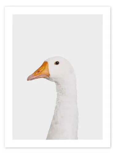 Grumpy Goose de Animal Kids Collection Editors Choice
