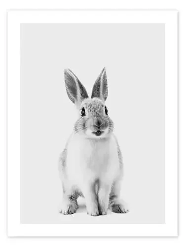 Happy Bunny de Animal Kids Collection Editors Choice