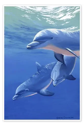 Happy dolphins de Graeme Stevenson MGL Licensing