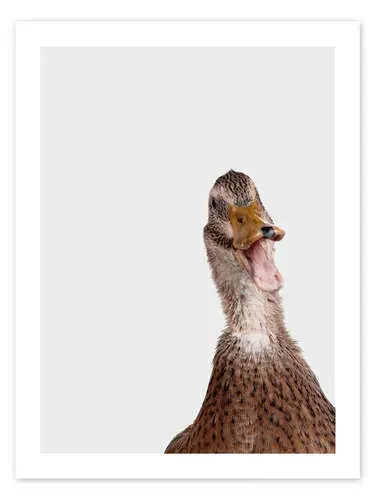Happy Duck de Animal Kids Collection Editors Choice